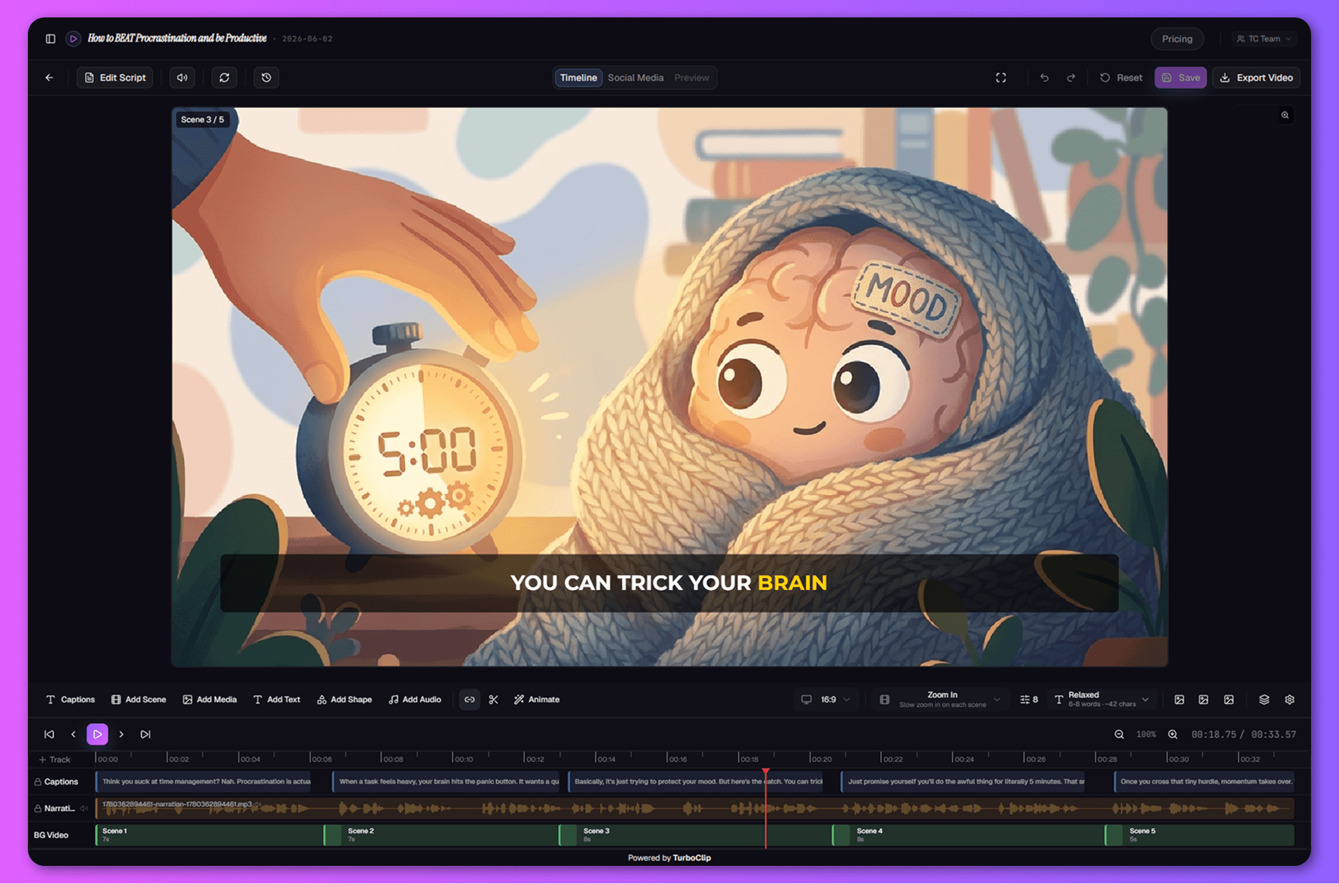 The TurboClip timeline editor — canvas preview, multi-track timeline, and inspector.